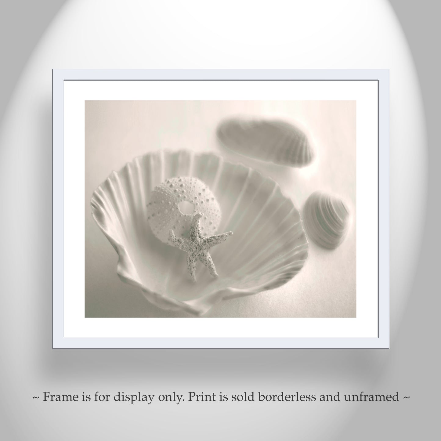 Sea Urchin Seashell Photo as Bathroom Wall Art in Ivory Color