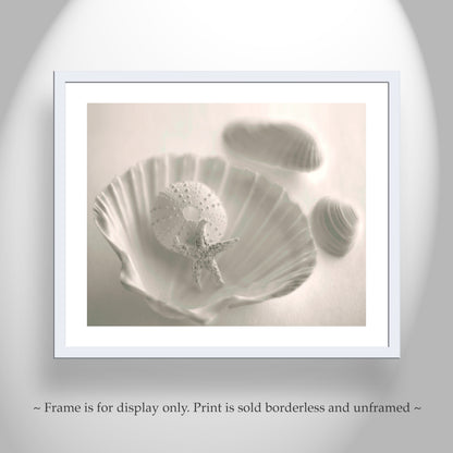 Sea Urchin Seashell Photo as Bathroom Wall Art in Ivory Color