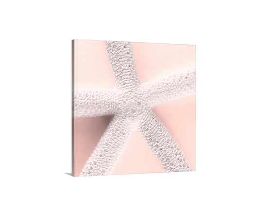 Close-up of a starfish with a textured surface on a light pink background. Minimalist Starfish Art Print in White & Pink – Coastal Beach Decor for Bath or Home