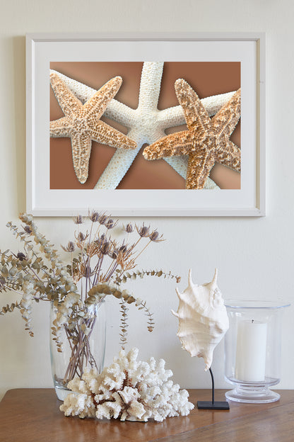 Starfish Wall Decor for Bath on Framed Canvas in Beige & Gold