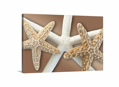 Starfish Wall Decor for Bath on Framed Canvas in Beige & Gold