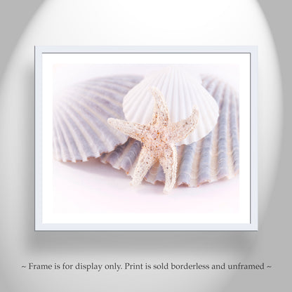 Still Life Wall Art with Sea Shells in Pastel Blue White & Yellow