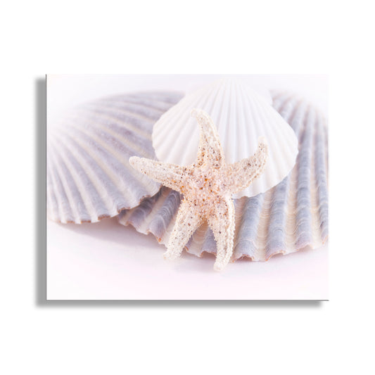 Starfish and seashell on a white background. Still Life Wall Art with Sea Shells in Pastel Blue White & Yellow