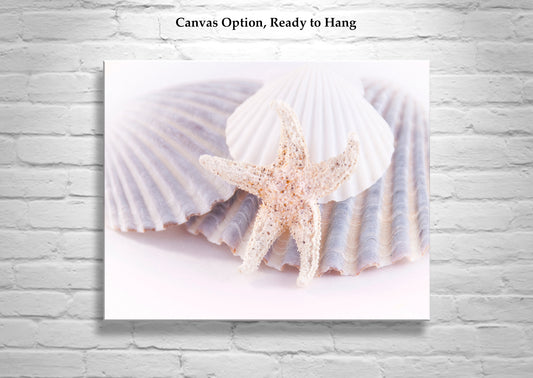 Still Life Wall Art with Sea Shells in Pastel Blue White & Yellow