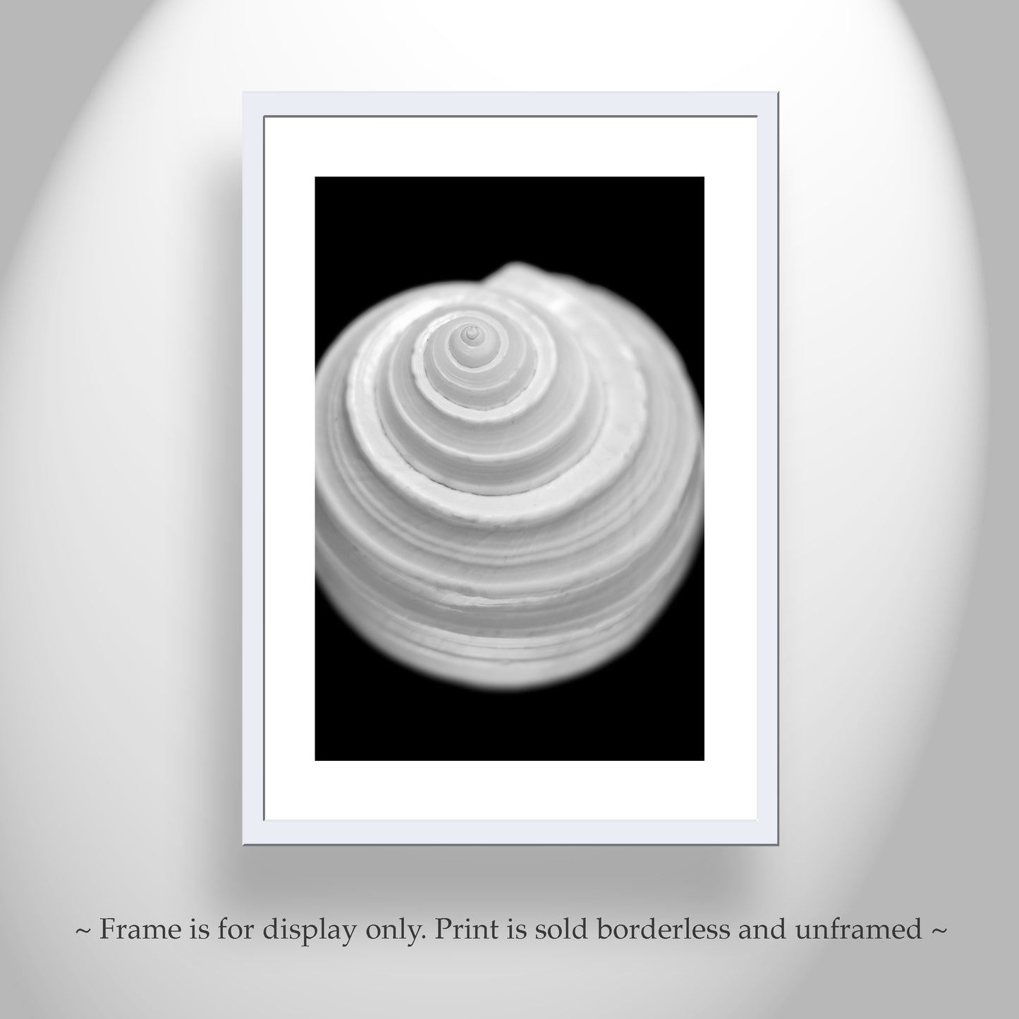 Bathroom Wall Art with Seashell in Bold Black and White