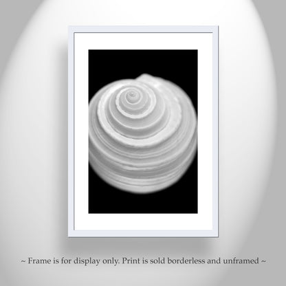 Bathroom Wall Art with Seashell in Bold Black and White