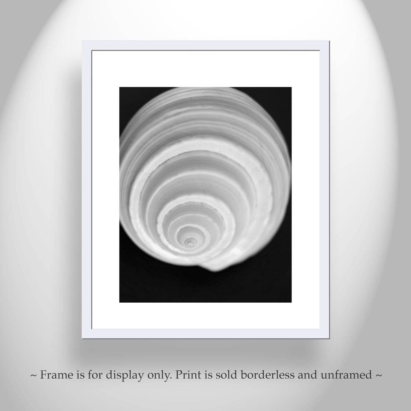 Bathroom Wall Art with Seashell in Black & White on Framed Canvas