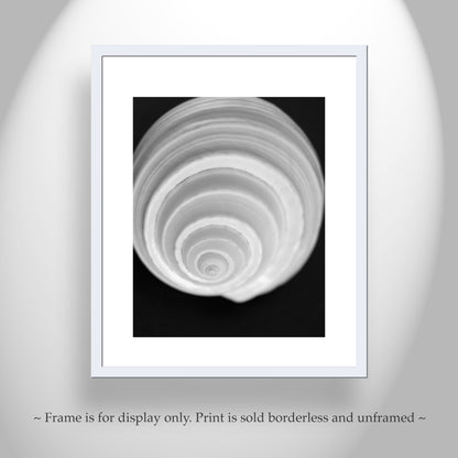 Bathroom Wall Art with Seashell in Black & White on Framed Canvas
