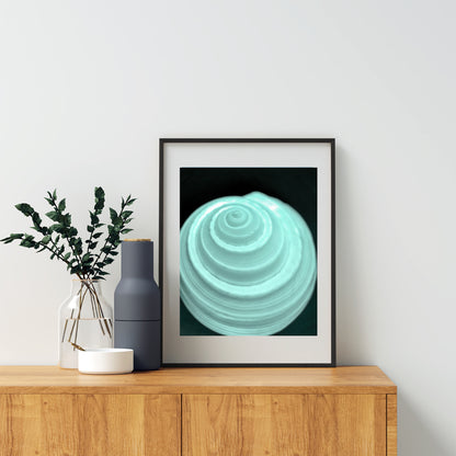 Minimalist Still Life Wall Art with Seashell in Pale Blue