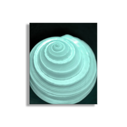 Turquoise ceramic plate with concentric circular design on a black background. Minimalist Still Life Wall Art with Seashell in Pale Blue