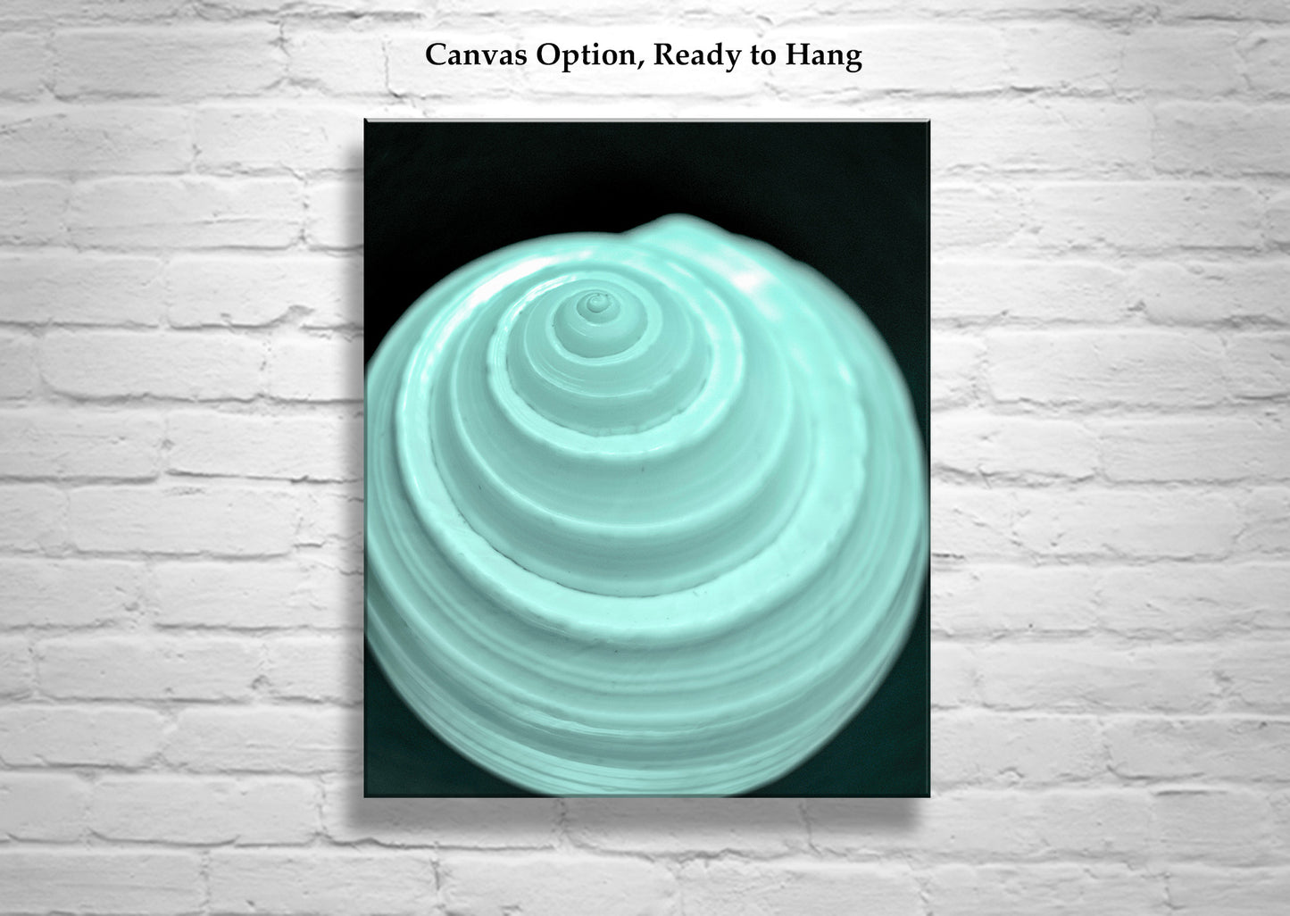 Minimalist Still Life Wall Art with Seashell in Pale Blue