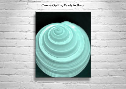 Minimalist Still Life Wall Art with Seashell in Pale Blue