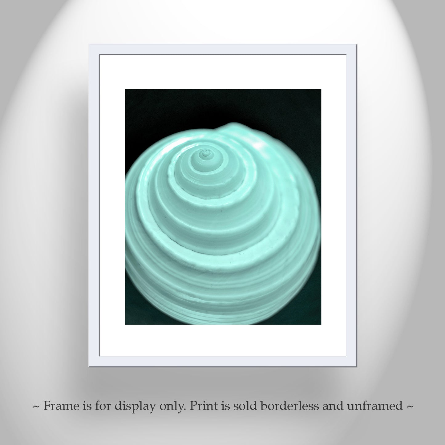 Minimalist Still Life Wall Art with Seashell in Pale Blue
