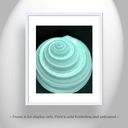 Minimalist Still Life Wall Art with Seashell in Pale Blue