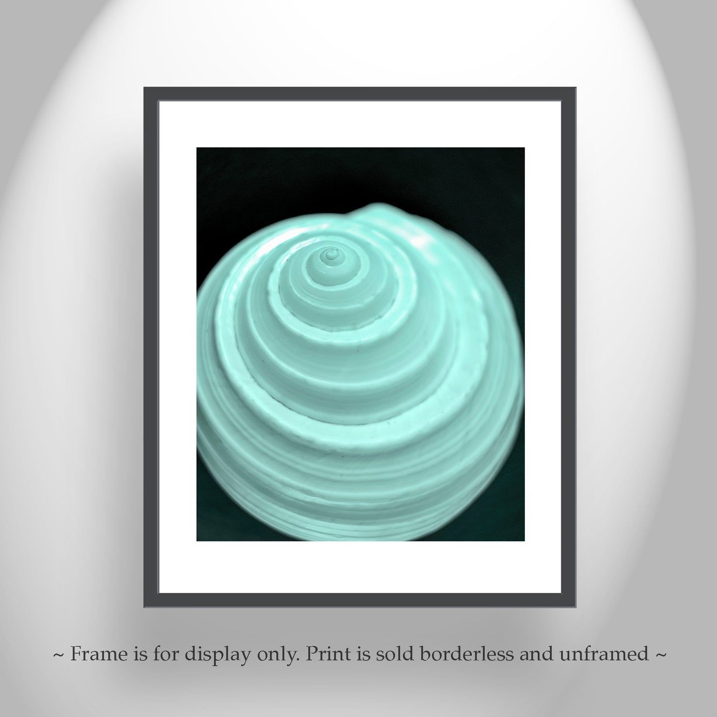 Minimalist Still Life Wall Art with Seashell in Pale Blue
