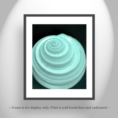 Minimalist Still Life Wall Art with Seashell in Pale Blue