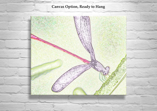 Damselfly Insect Nature Art Print Whimsical Wall Decor