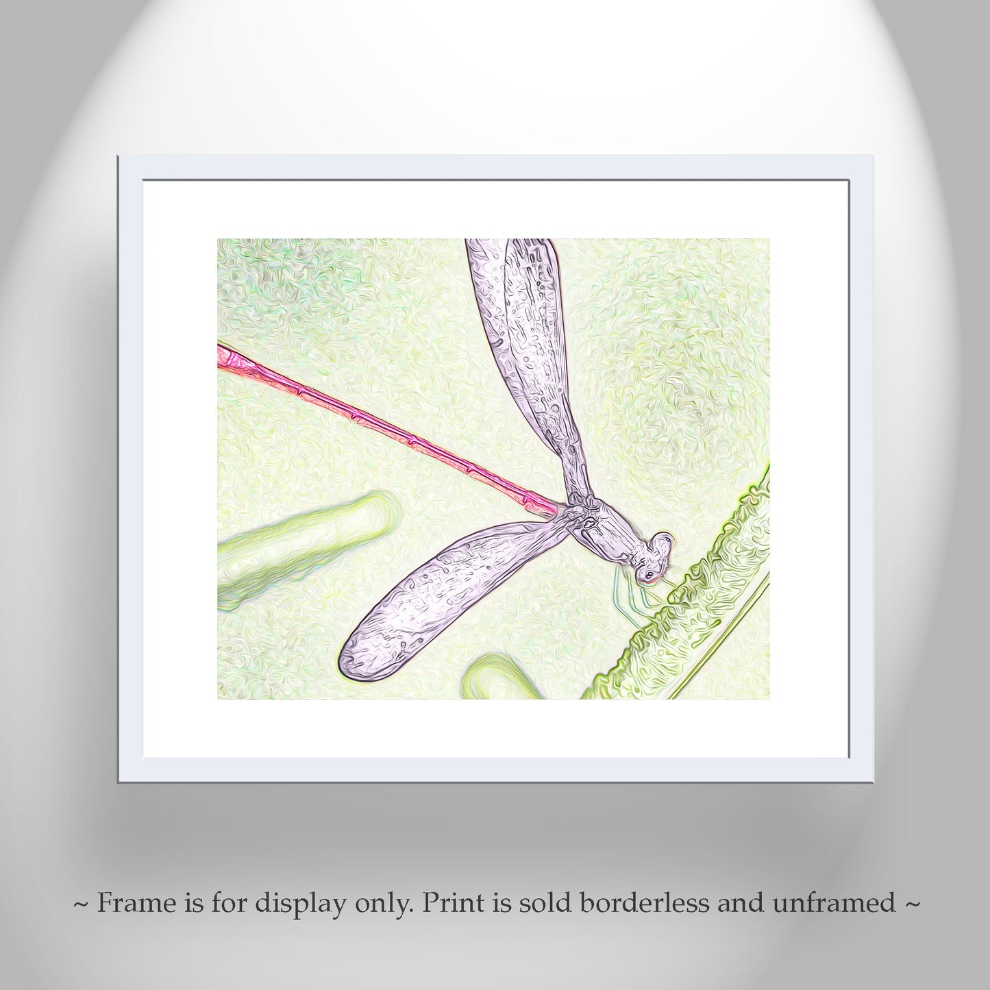 Damselfly Insect Nature Art Print Whimsical Wall Decor