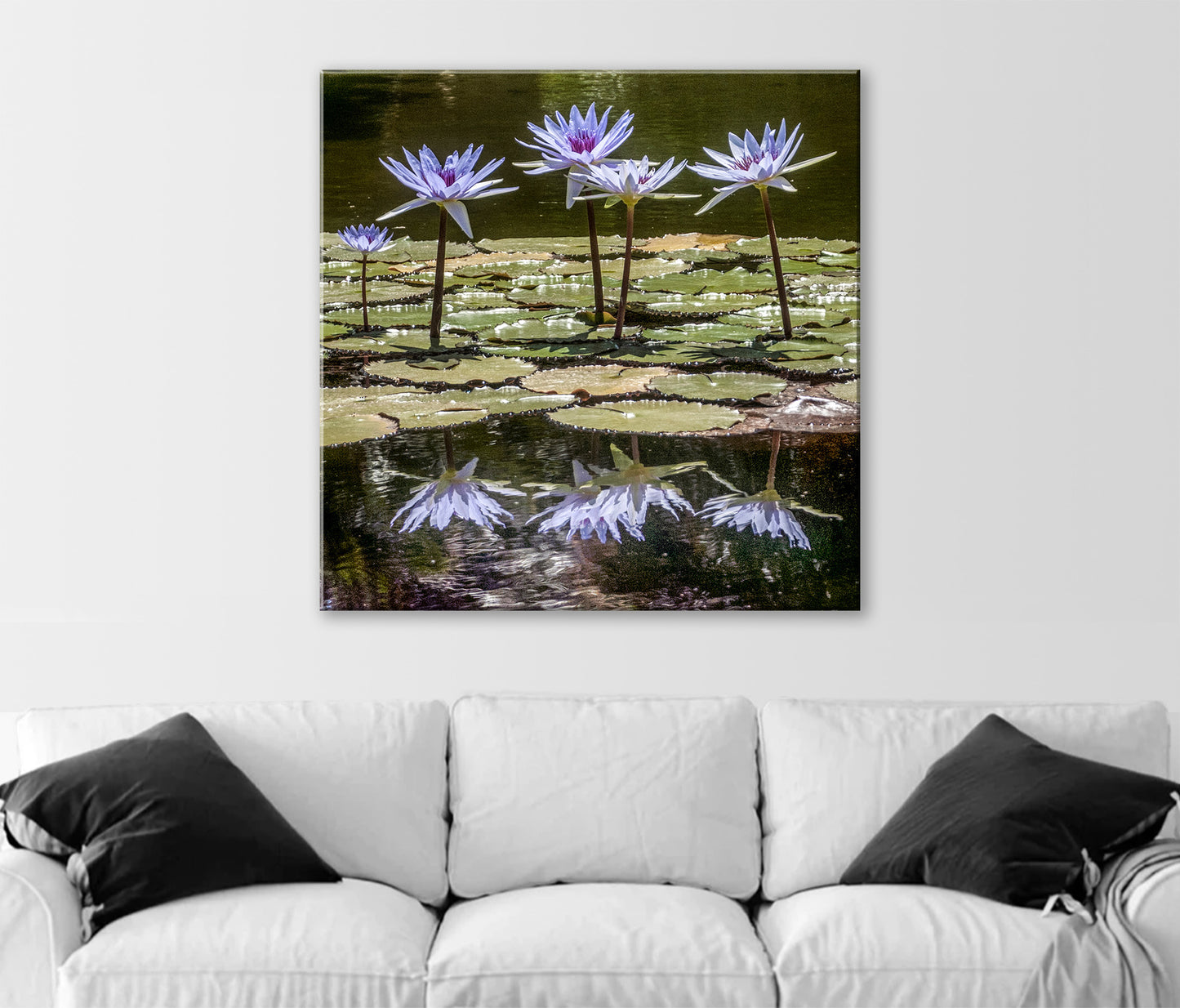 Wall art of purple water lilies on a white wall above a white sofa. Water Lily Nature Photography Print at Balboa Park San Diego California