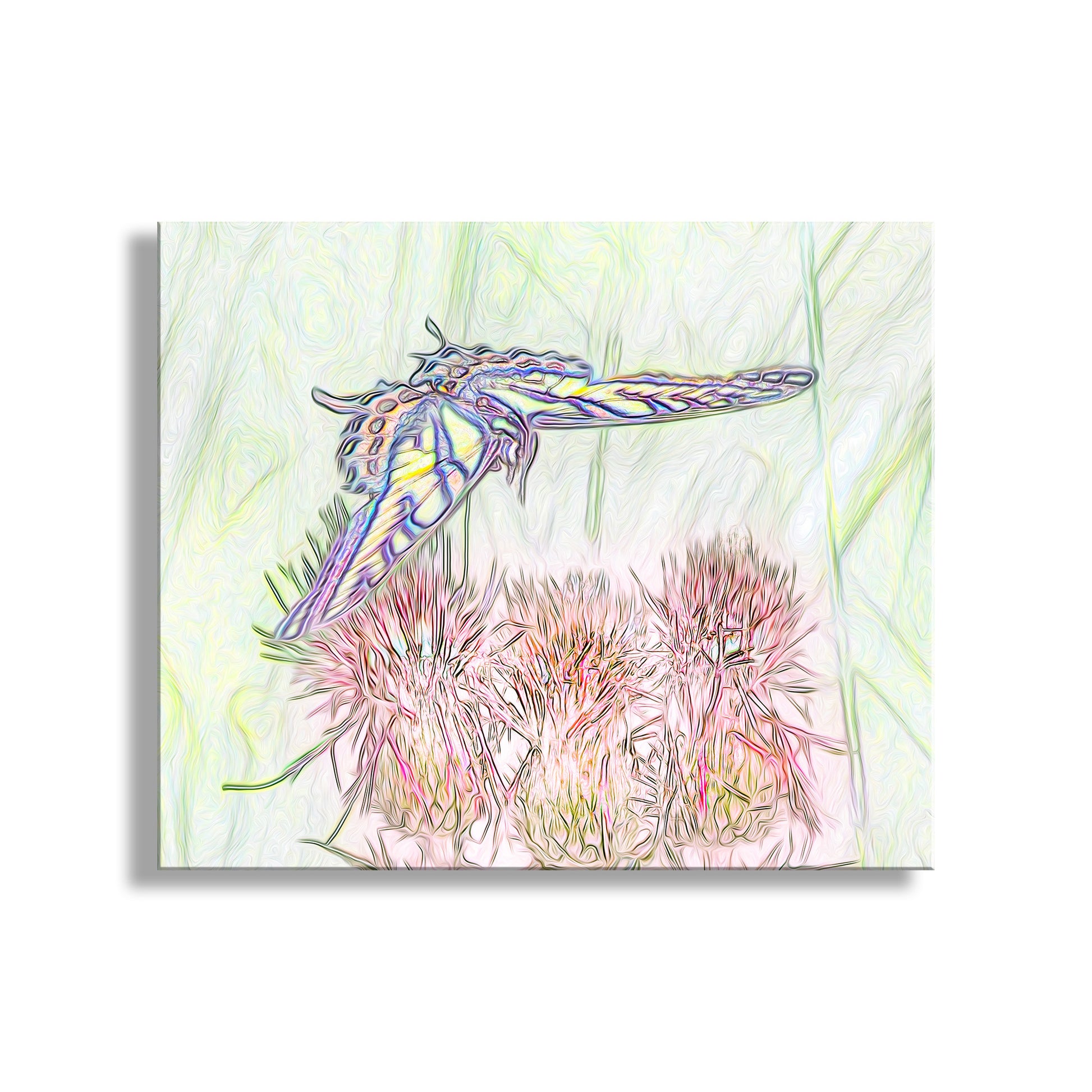 My unique nature art from my original photograph! This is a gorgeous large swallowtail butterfly on approach to a flowering thistle plant, captured on camera by me in a secret watery canyon near the San Pedro River of south-central Arizona USA. Original, signed art by Murray Bolesta.