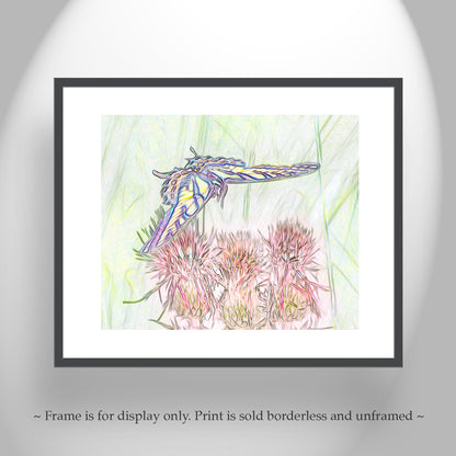 Butterfly and Flowering Thistle Wildflower Whimsical Art Print