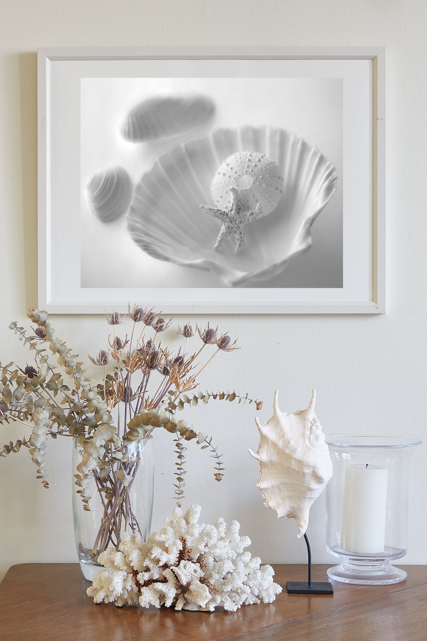 Seashell Picture for Bathroom in Black & White | Still Life Art