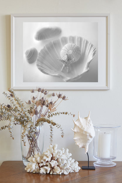 Seashell Picture for Bathroom in Black & White | Still Life Art