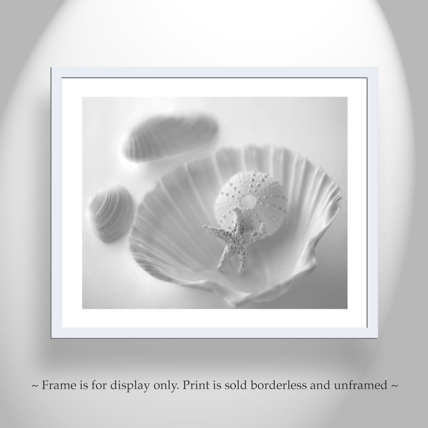 Seashell Picture for Bathroom in Black & White | Still Life Art