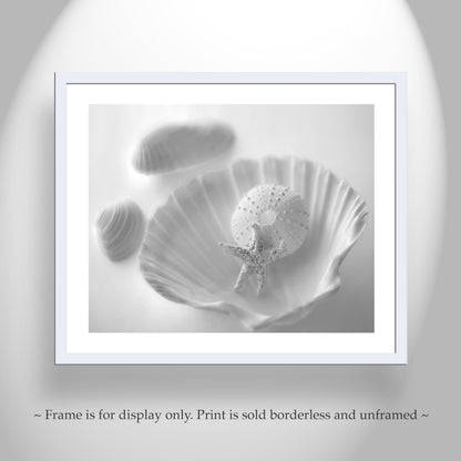 Seashell Picture for Bathroom in Black & White | Still Life Art