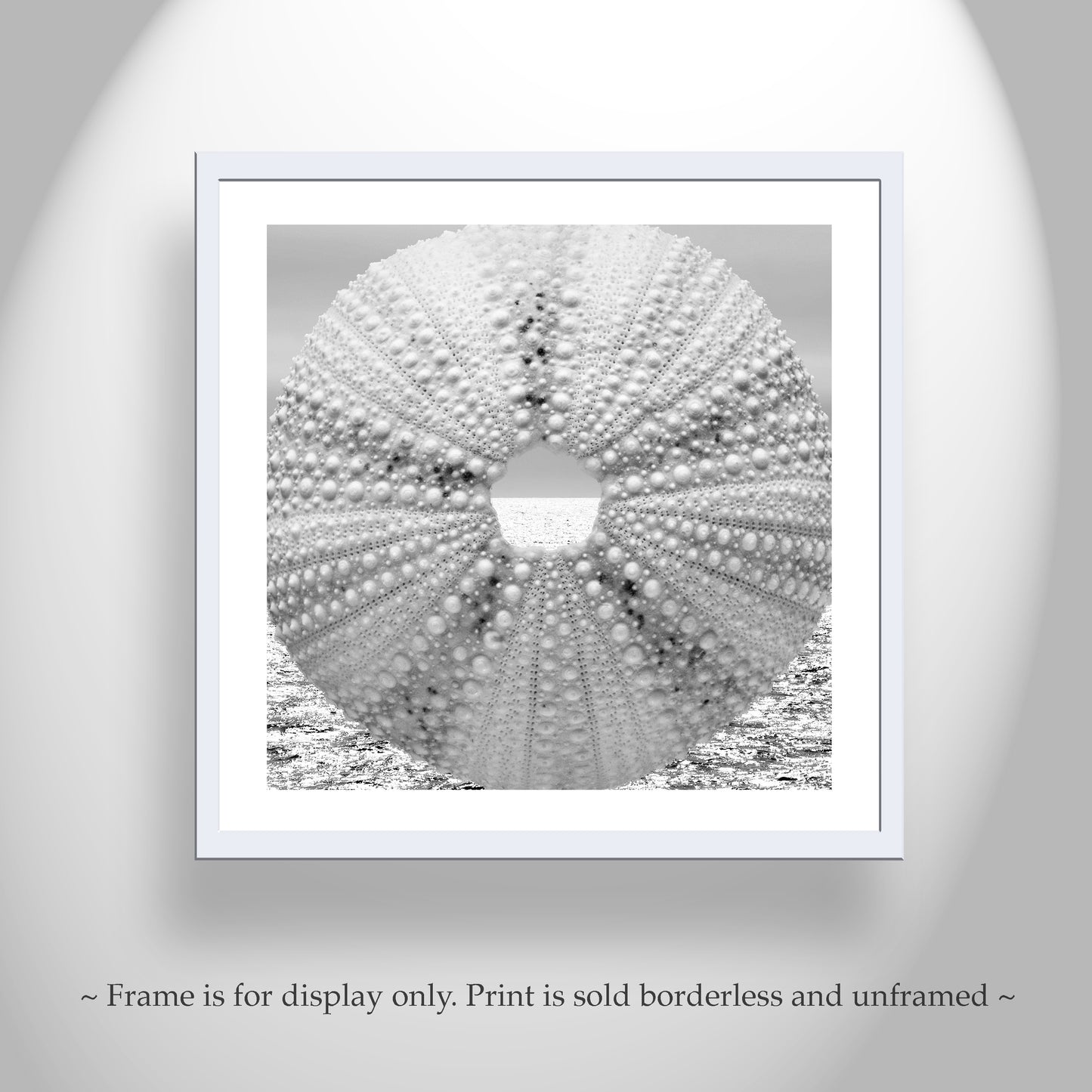 Sea Urchin Surreal Ocean Art Print in Black & White for Bath or Home