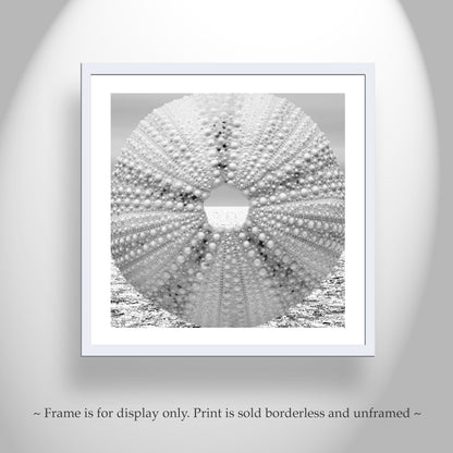 Sea Urchin Surreal Ocean Art Print in Black & White for Bath or Home