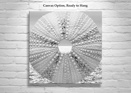 Sea Urchin Surreal Ocean Art Print in Black & White for Bath or Home