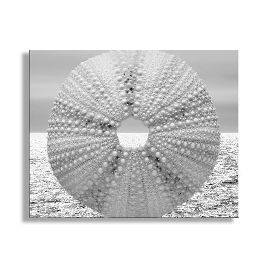 Black and white image of a sea urchin shell on a beach. Sea Urchin Picture in Black & White as Elegant Coastal Art