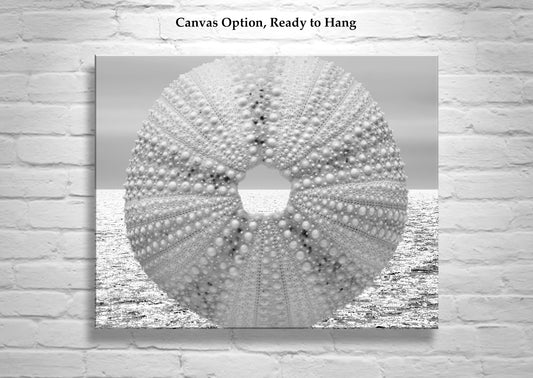 Sea Urchin Picture in Black & White as Elegant Coastal Art