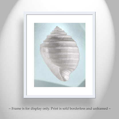 Blue Seashell Print Pastel Wall Decor for Home or Bath by Murray Bolesta!