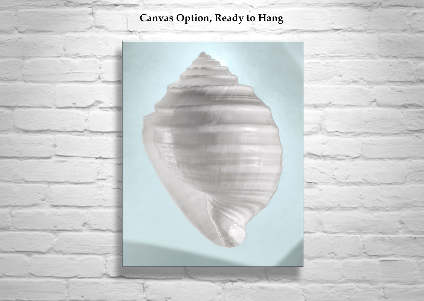 Blue Seashell Print Pastel Wall Decor for Home or Bath by Murray Bolesta!