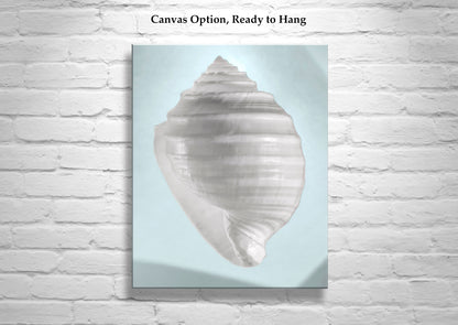 Blue Seashell Print Pastel Wall Decor for Home or Bath by Murray Bolesta!