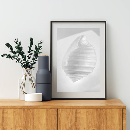 Seashell Minimalist Still Life Art in Black & White for Bath or Home