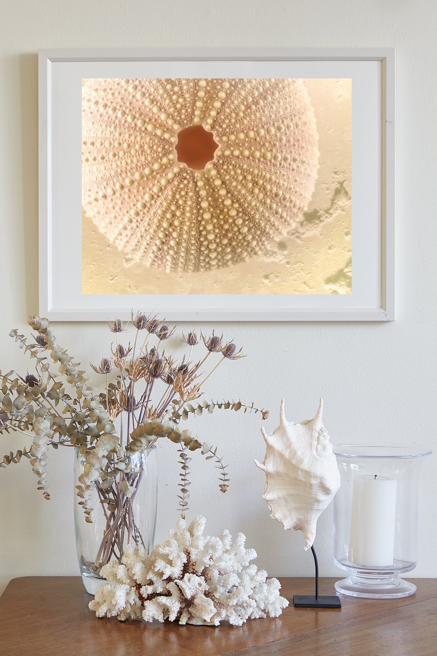 Seashell Art Print | Sea Urchin Home Decor Gift in Neutral Tones