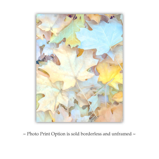 Fall Leaves Soft Pastel Wall Art | Serene Autumn Nature Photography