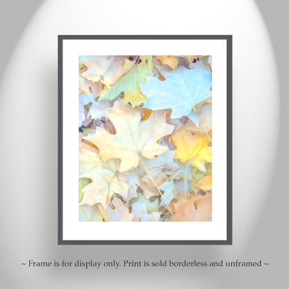Fall Leaves Soft Pastel Wall Art | Serene Autumn Nature Photography