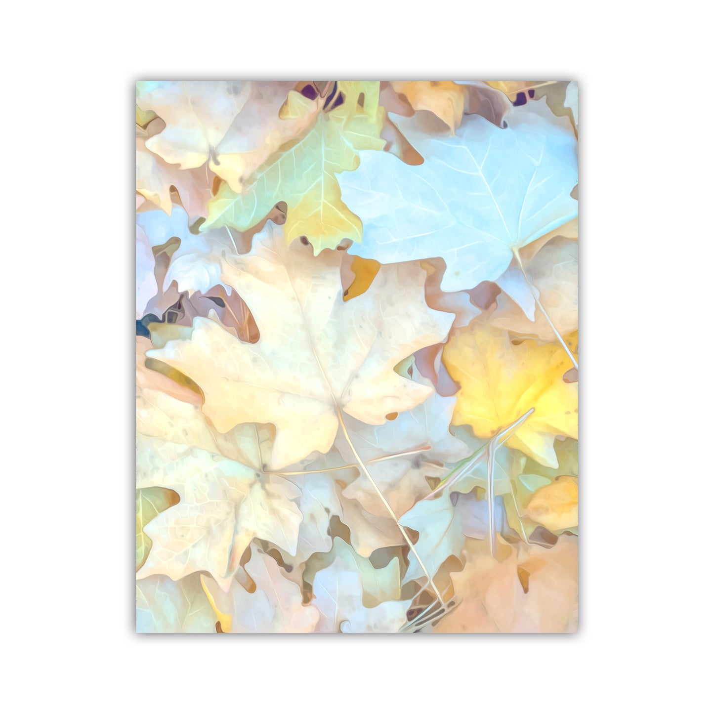 Colorful leaf pattern on a white background. Fall Leaves Soft Pastel Wall Art | Serene Autumn Nature Photography