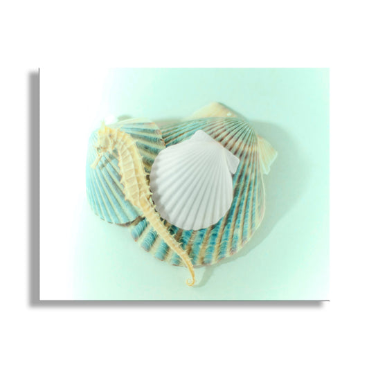 Two seashells on a light green background. Picture of Sea Horse Sea Shell as Wall Decor for Bath or Home