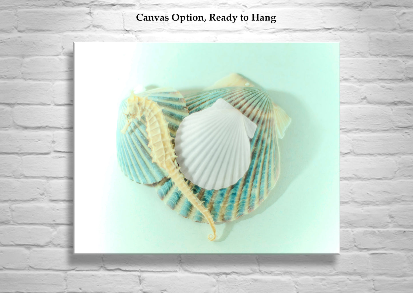 Picture of Sea Horse Sea Shell as Wall Decor for Bath or Home