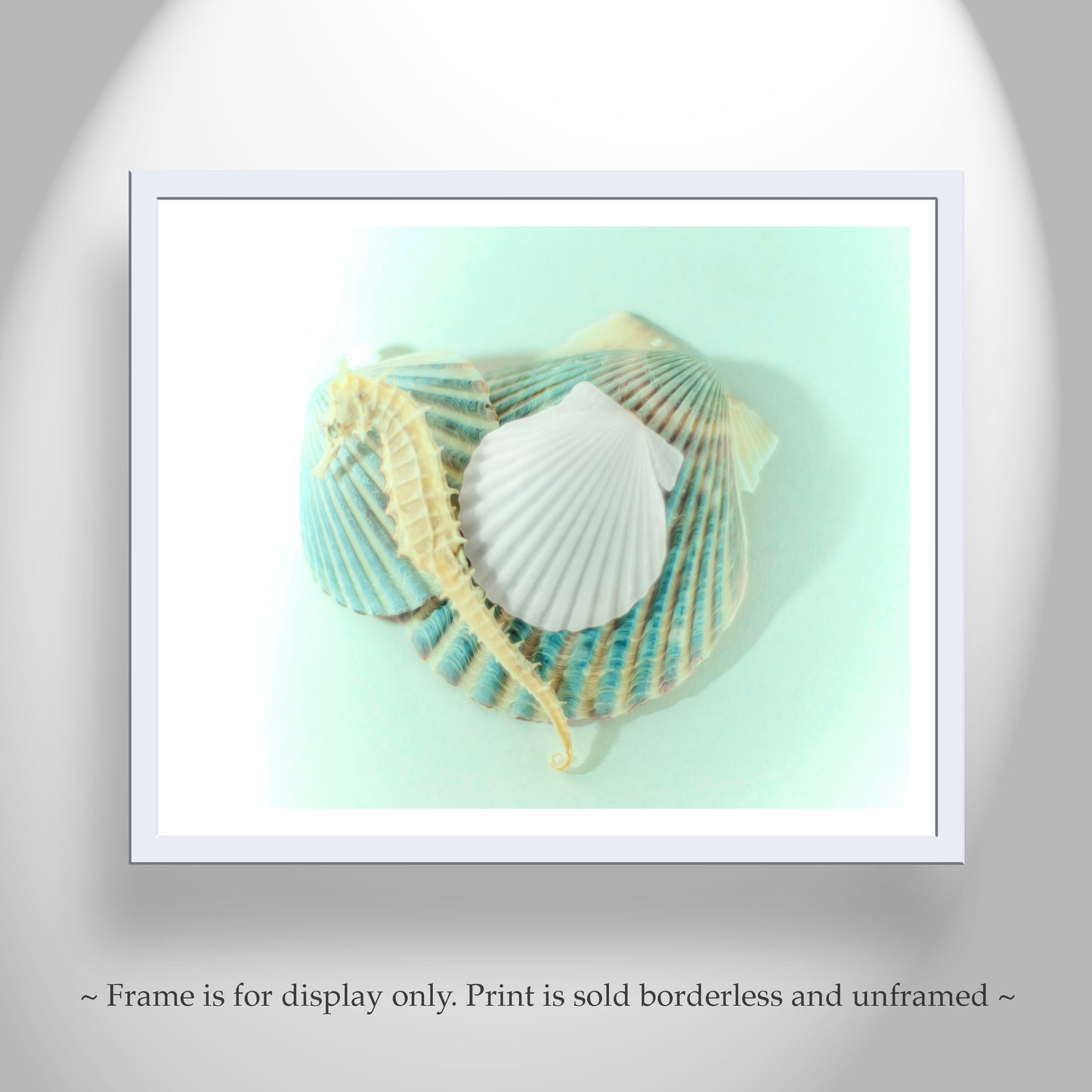 Picture of Sea Horse Sea Shell as Wall Decor for Bath or Home