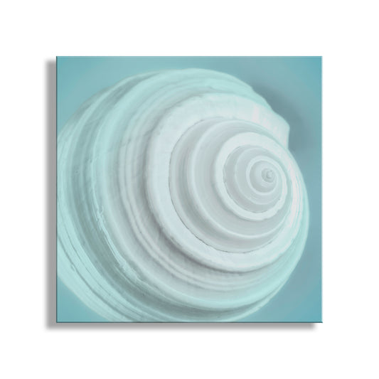Abstract spiral design on a light blue background. Soft Blue Seashell Photograph as Wall Decor for Bathroom or Home