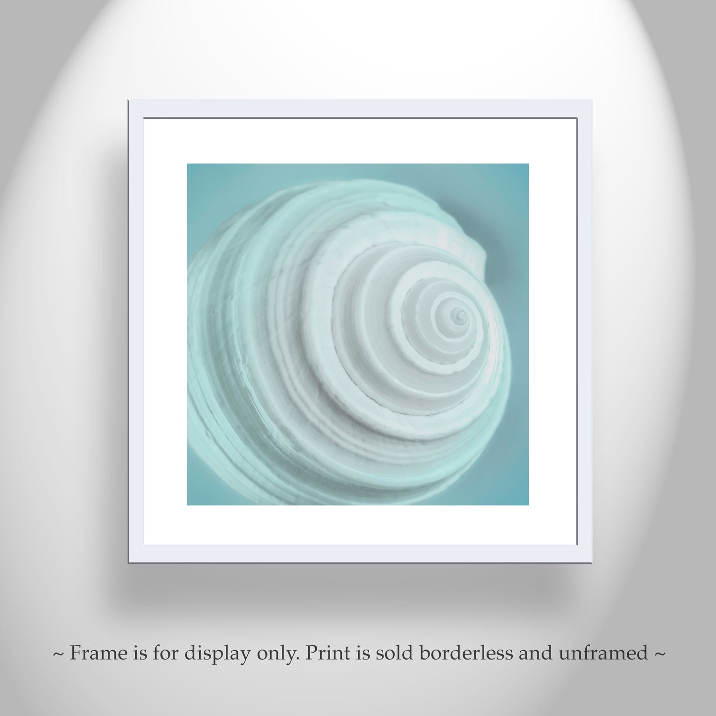 Soft Blue Seashell Photograph as Wall Decor for Bathroom or Home