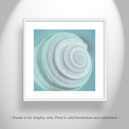 Soft Blue Seashell Photograph as Wall Decor for Bathroom or Home