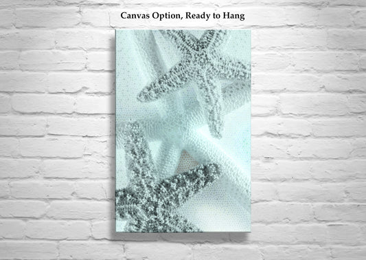 Pale Blue Bathroom Wall Art with Starfish | Coastal Home Decor