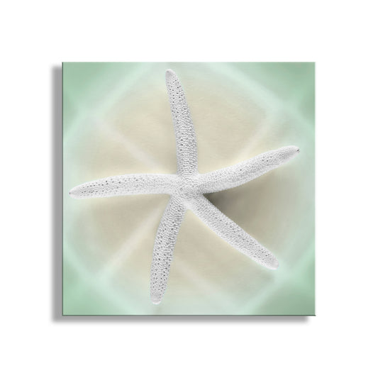White starfish on a soft green and beige gradient background. Seashell Art in Mint Green | Starfish Bathroom Wall Decor